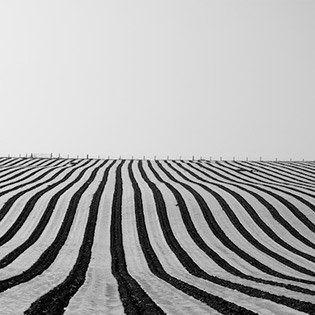 Wireframe